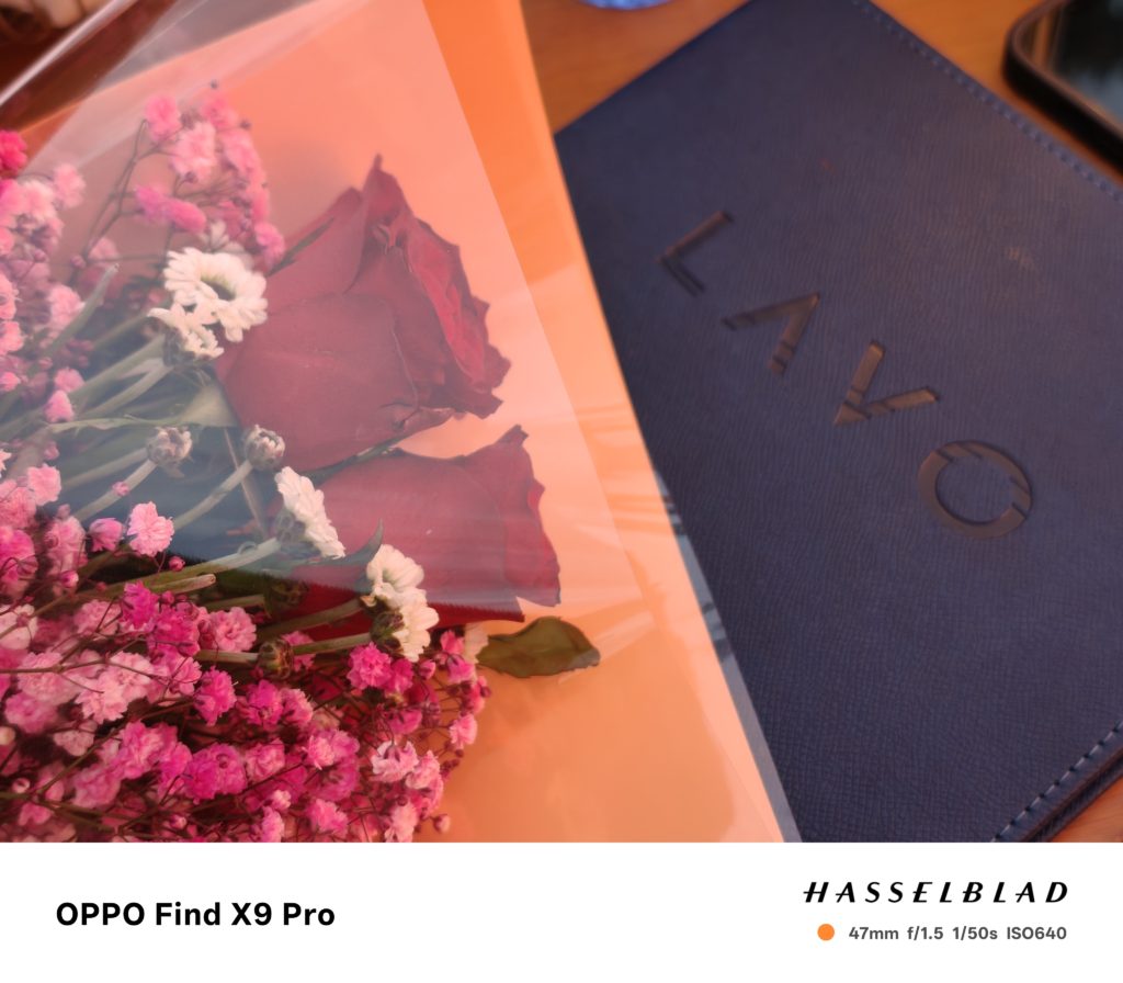 OPPO Find X9 Pro Camera Sample -6