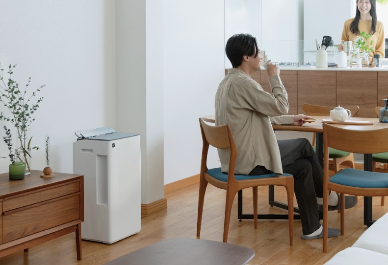 Sharp DW-T30F Dehumidifier -2