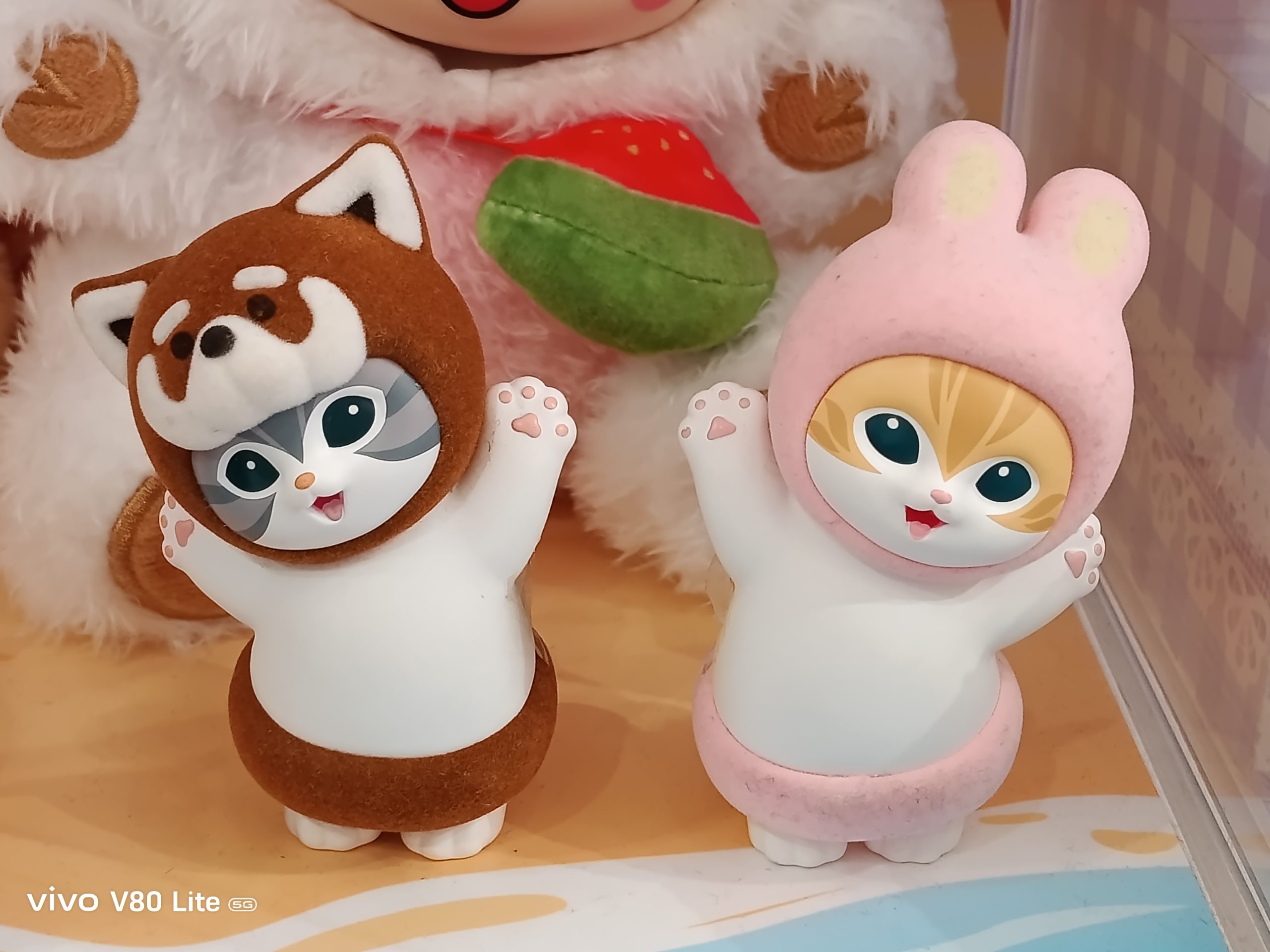 VIVO V80 Lite Camera Sample -2