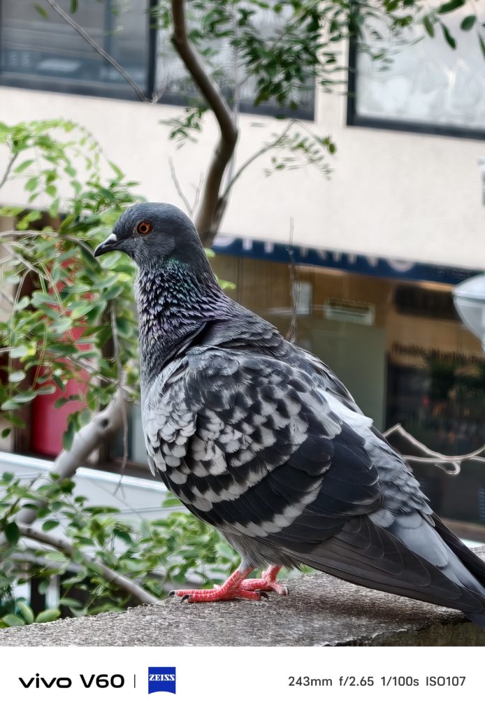 Vivo V60 Camera Sample -3