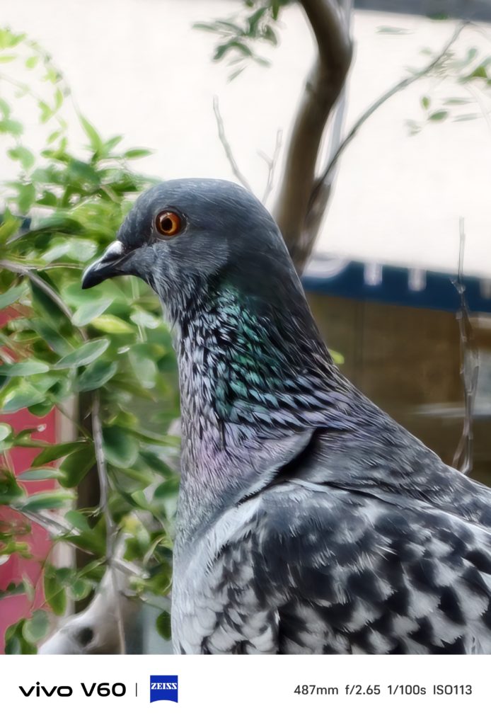 Vivo V60 Camera Sample -4