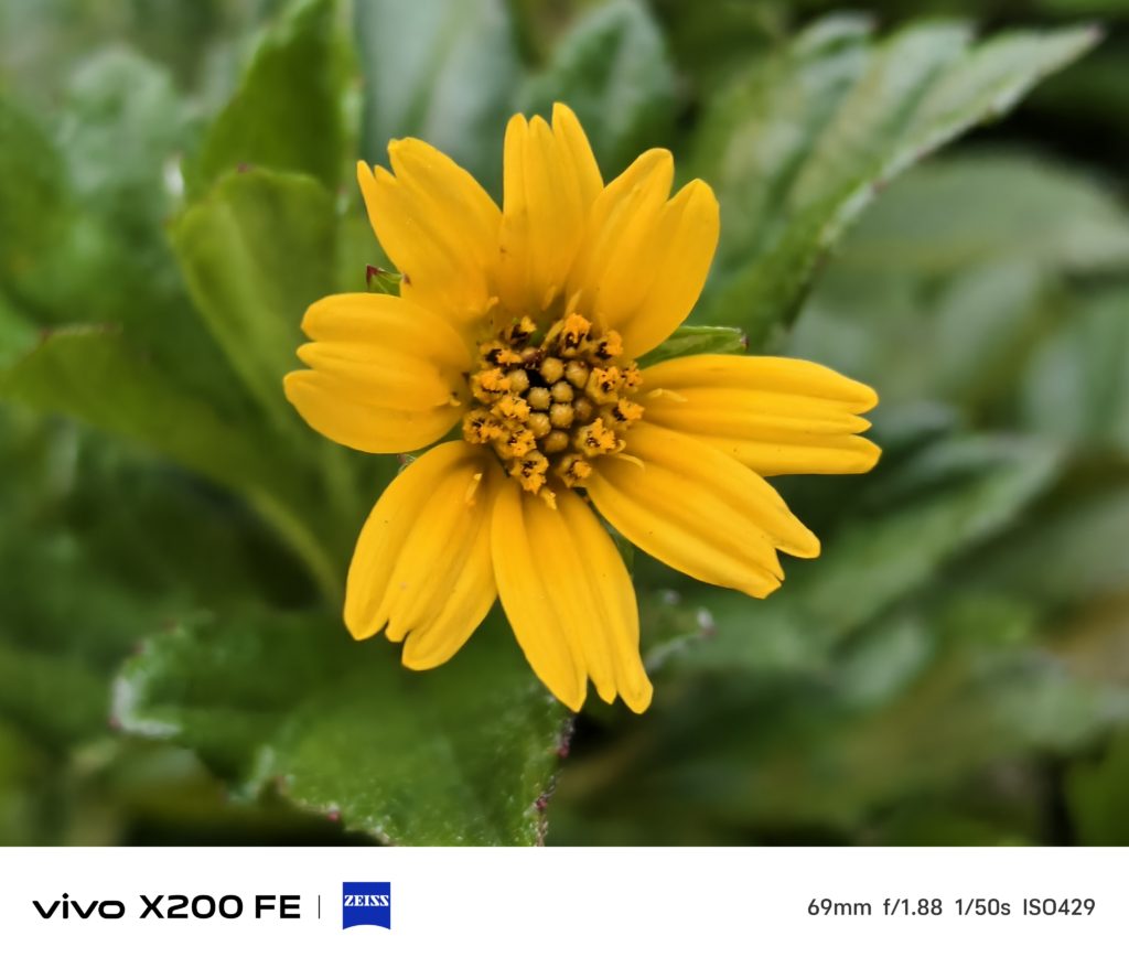Vivo X200 FE Camera Sample -3