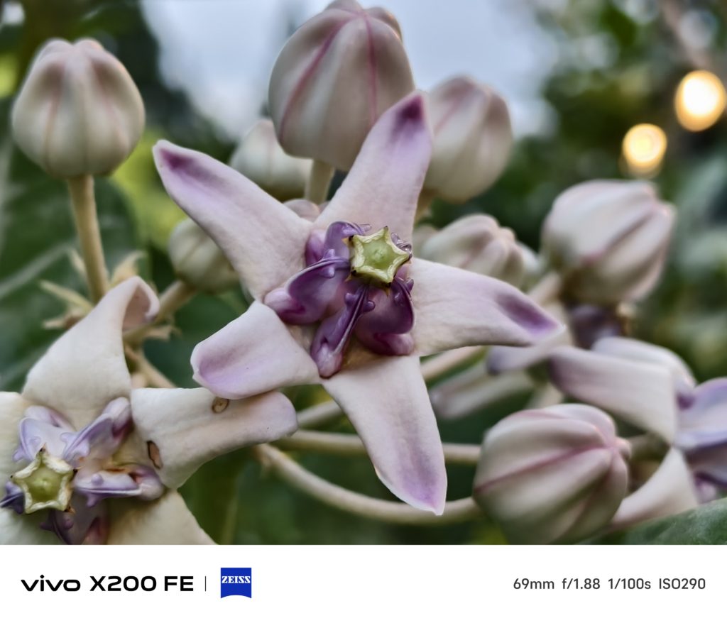 Vivo X200 FE Camera Sample -5