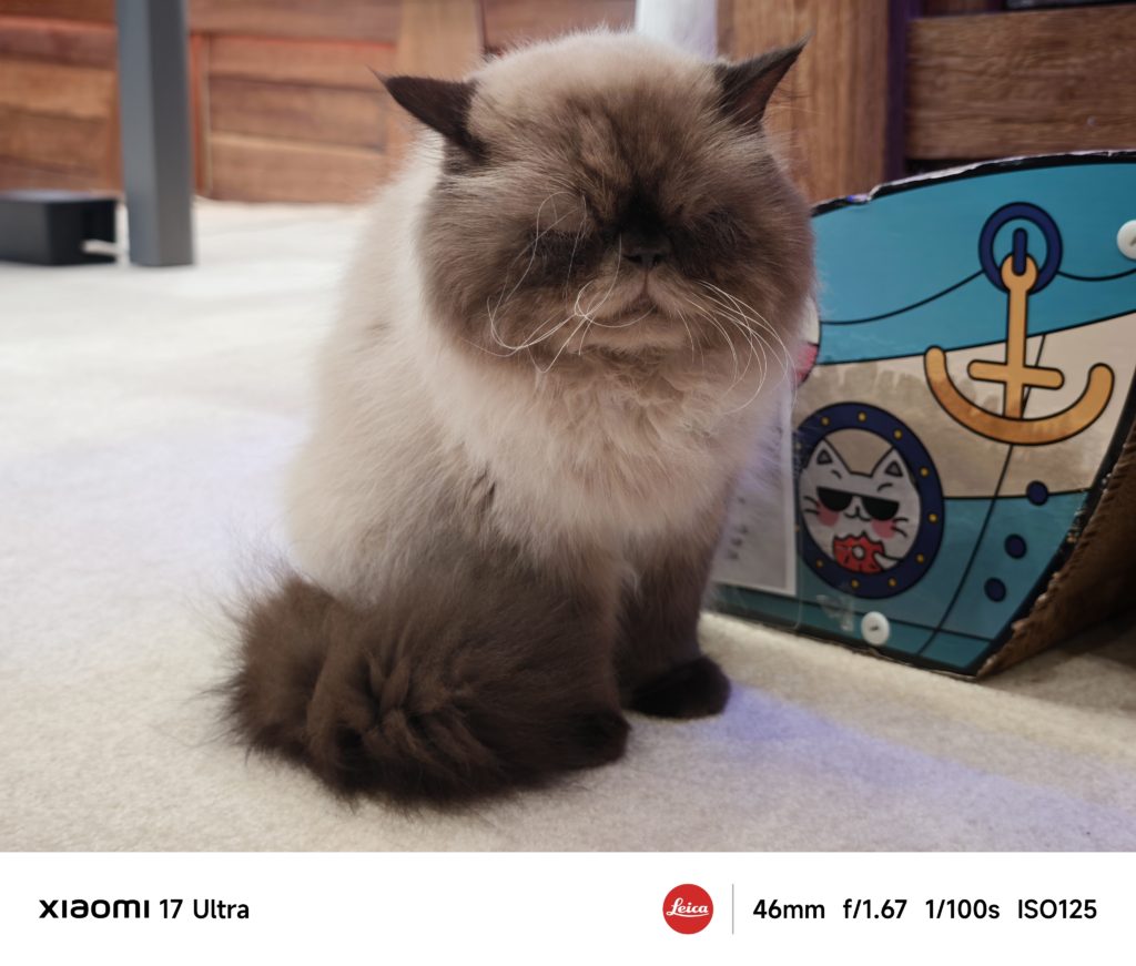 Xiaomi 17 Ultra Camera Sample -2